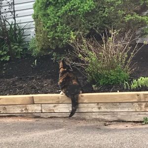 Meet your Posher, Emma